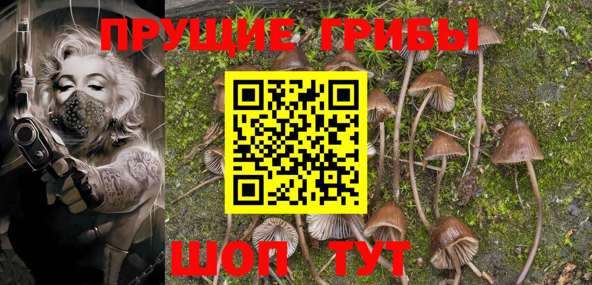 Псилоцибиновые грибы Magic Shrooms  Вход с VPN  Керчь 