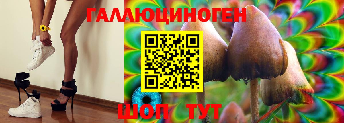 Псилоцибиновые грибы GOLDEN TEACHER Керчь