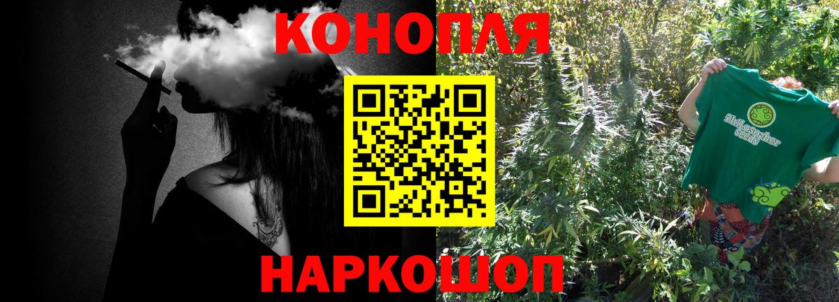 Марихуана сатива Керчь